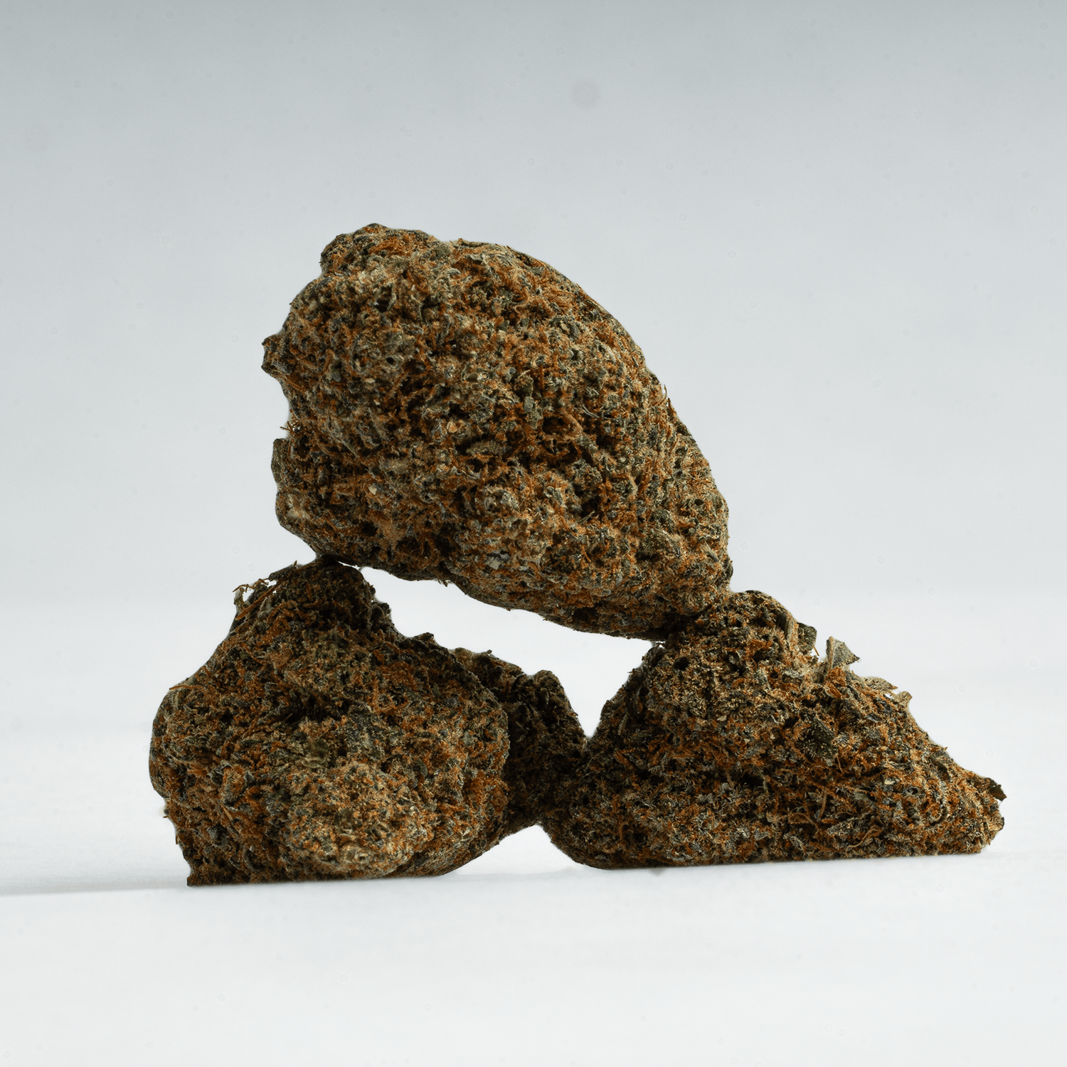 God's Gift (AA+) God's Gift (AA+)