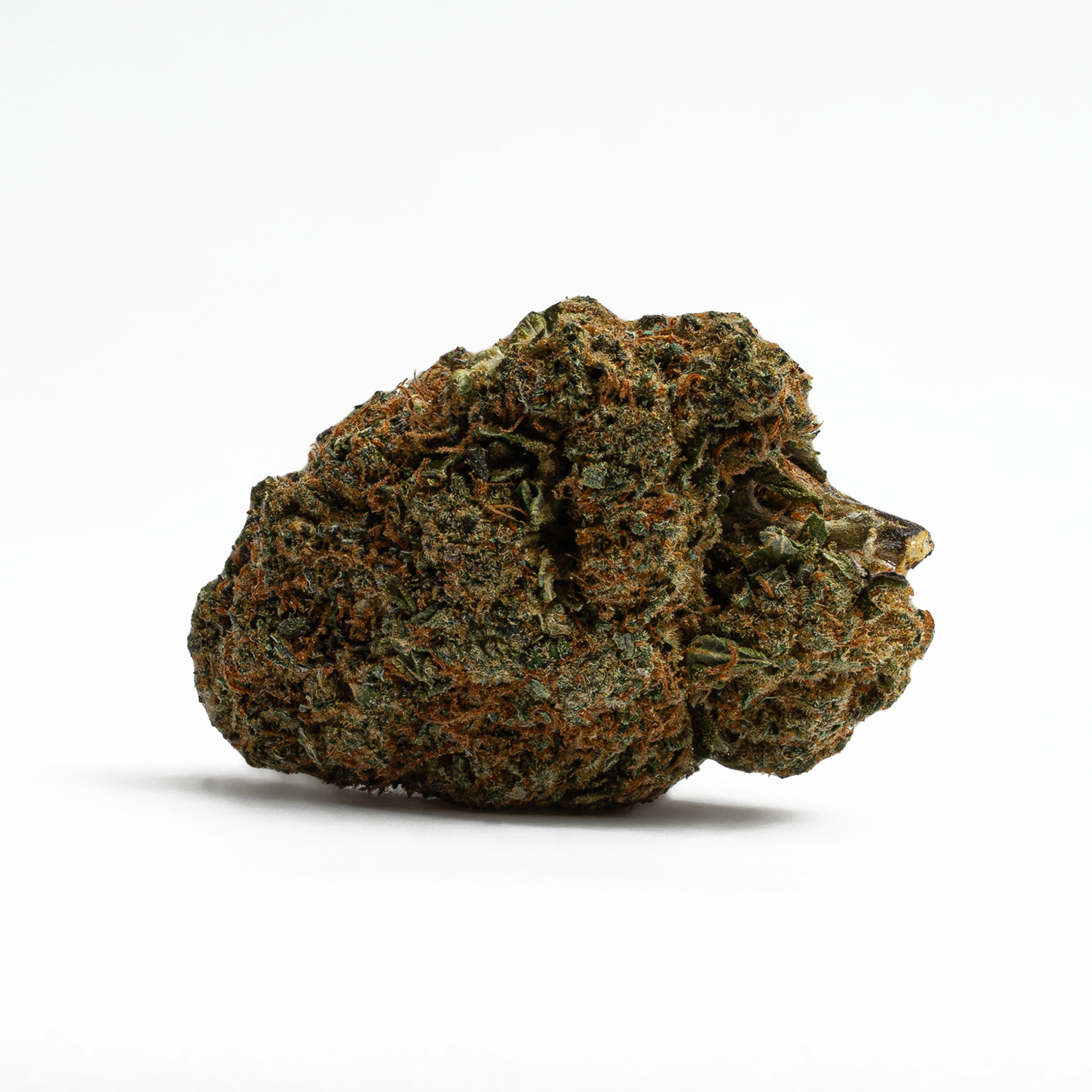 God's Gift (AA+) God's Gift (AA+)