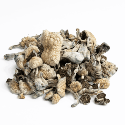 Golden Teacher Mushrooms