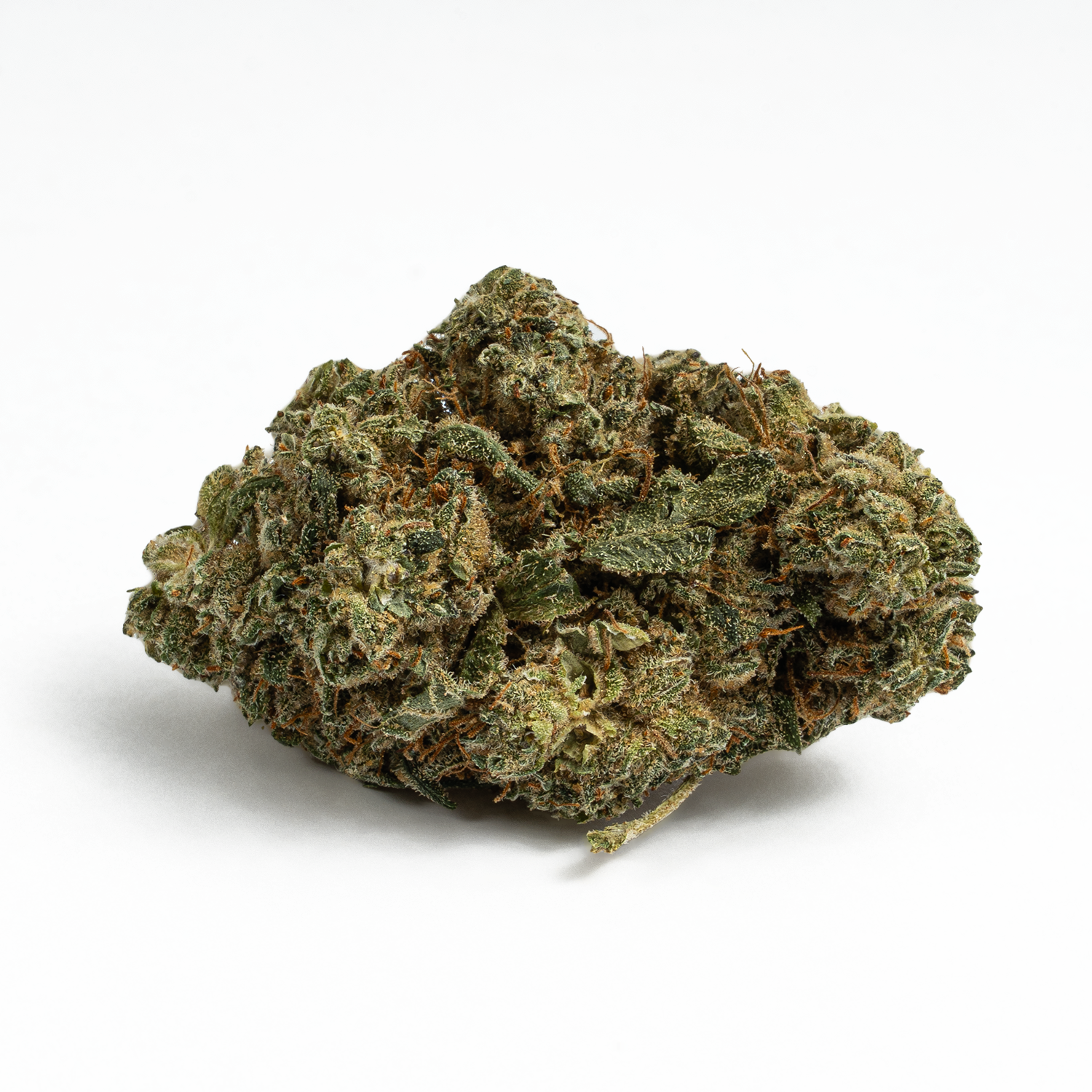 Mochi (AAA) Mochi (AAA)