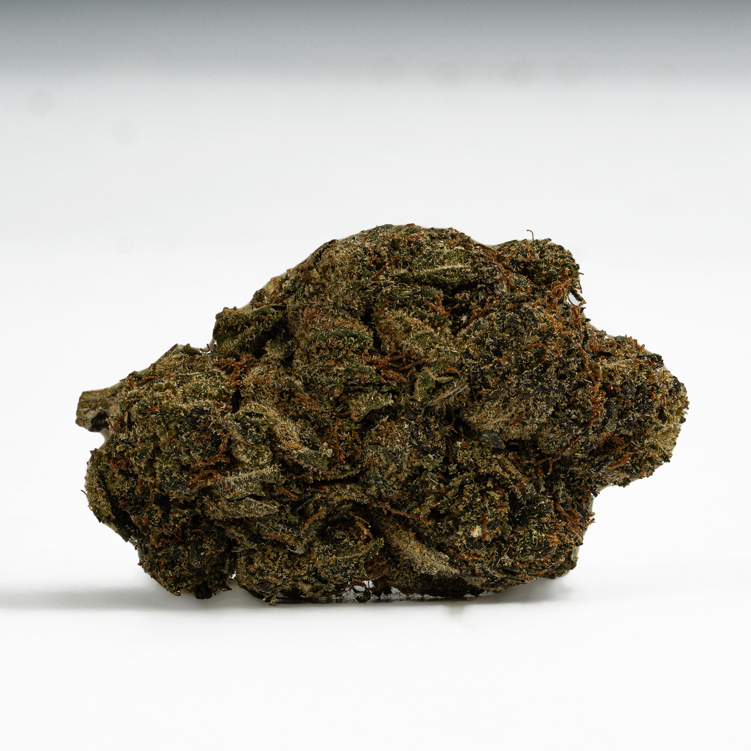 Moonwalker (AA+) Moonwalker (AA+)