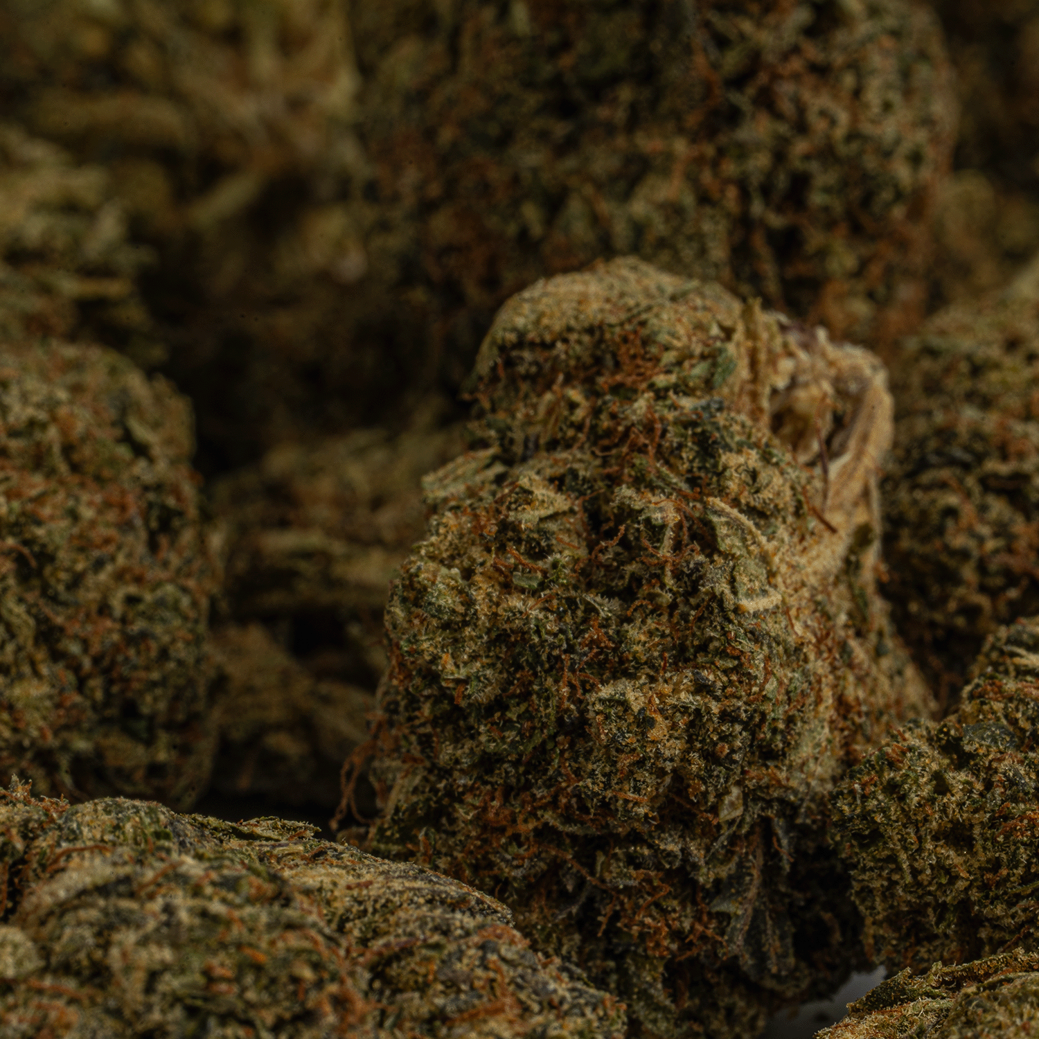 Moonwalker (AA+) Moonwalker (AA+)