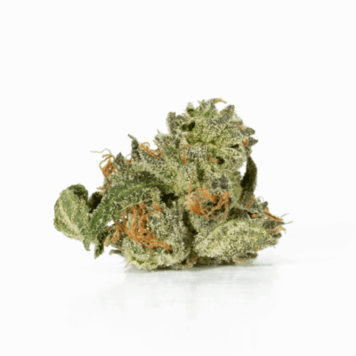 Northern Lights (AAA)