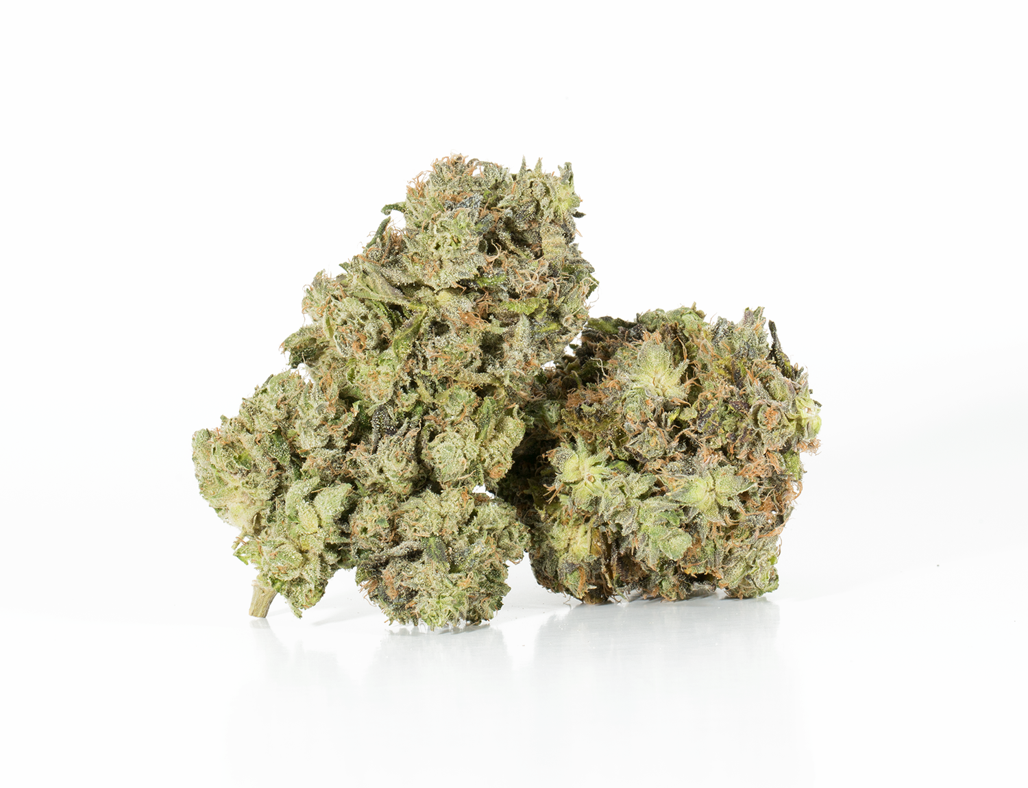 Primus (AAA+) Primus (AAA+)