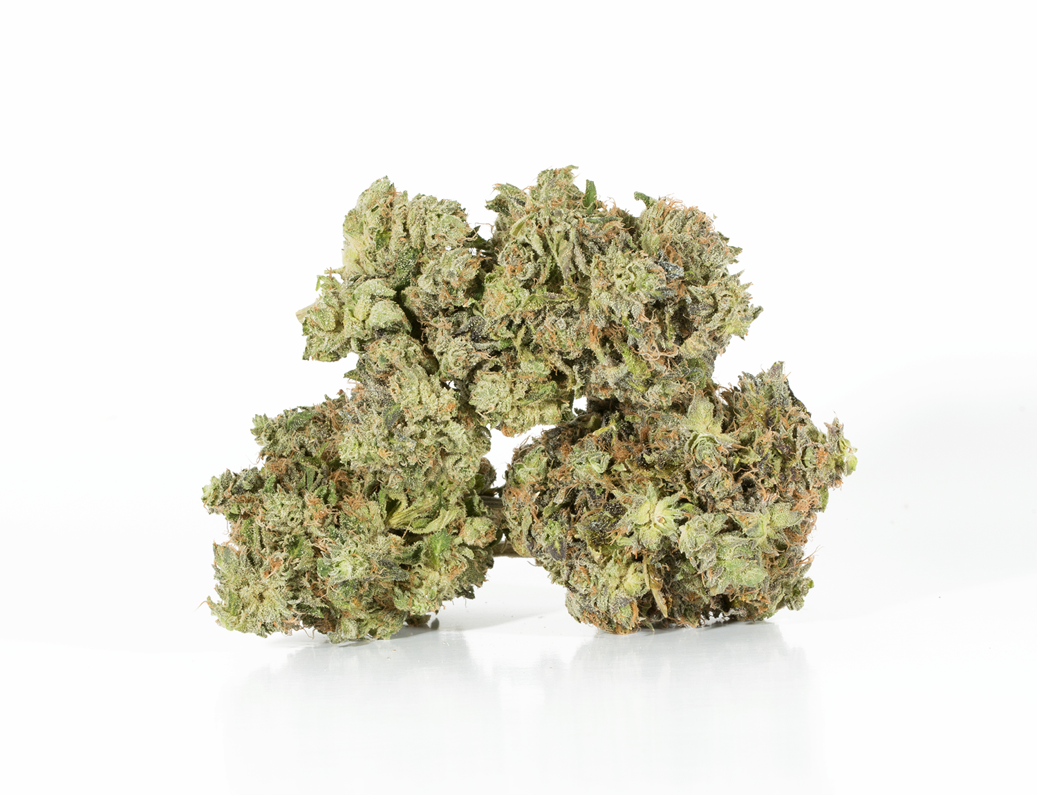 Primus (AAA+) Primus (AAA+)