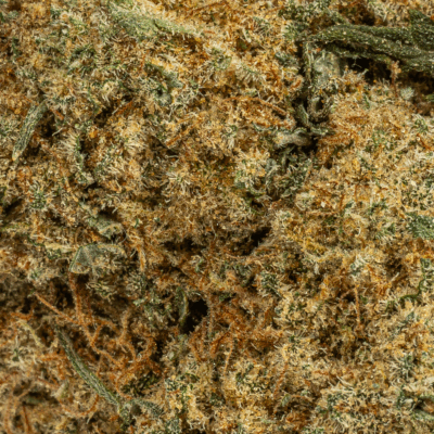 Silky Johnson (AAA+)