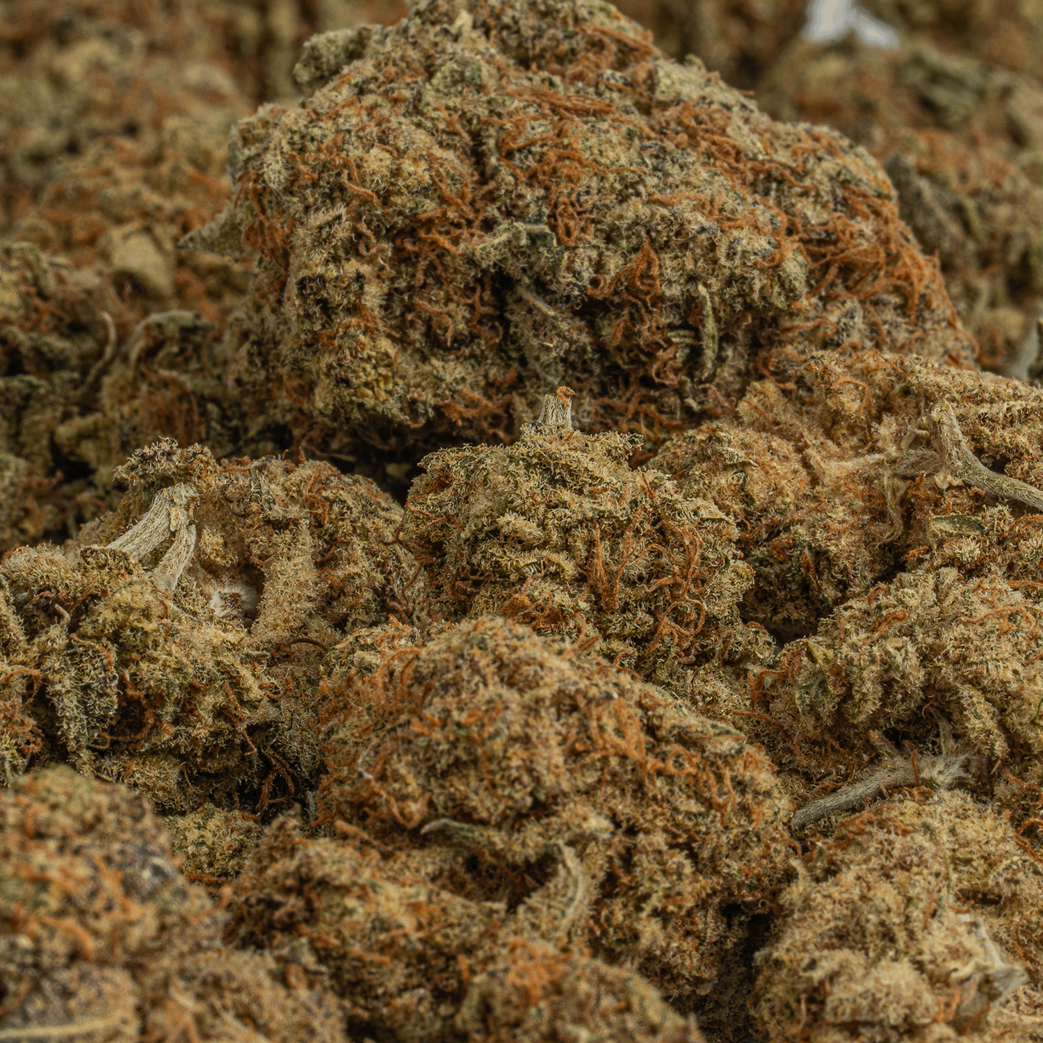 Silver Haze (AA+) Silver Haze (AA+)