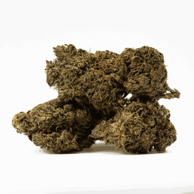 Black Jesus (AAA+)