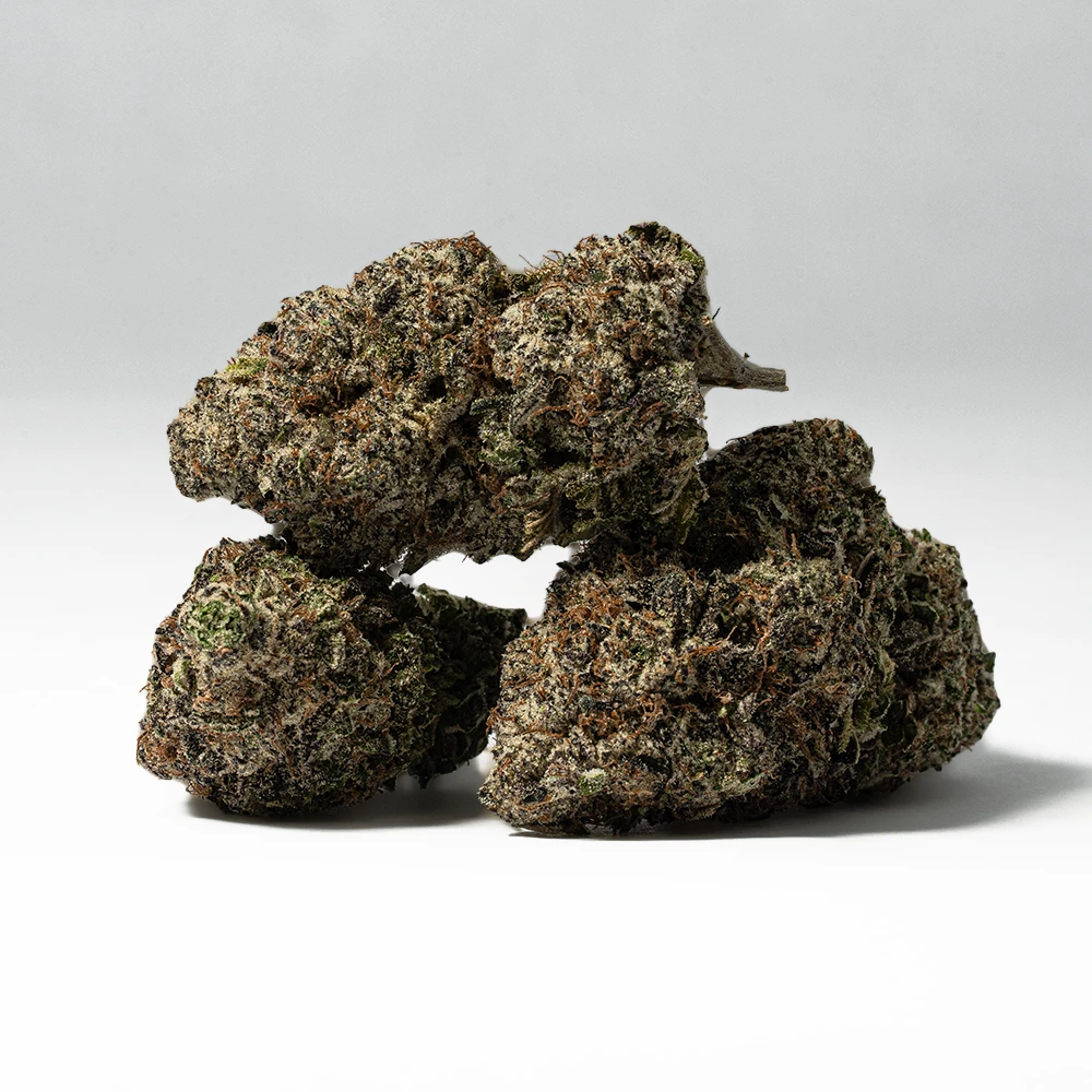 9LB Hammer (AAAA) 9LB Hammer (AAAA)