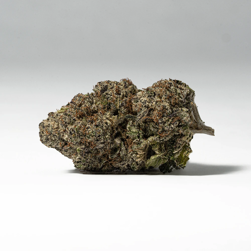 9LB Hammer (AAAA) 9LB Hammer (AAAA)