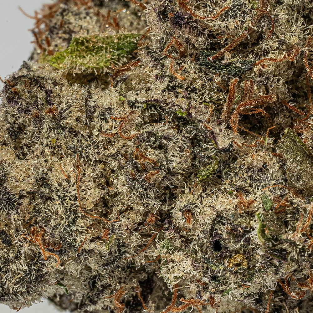 9LB Hammer (AAAA) 9LB Hammer (AAAA)