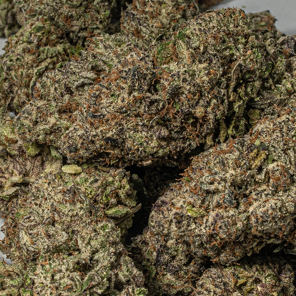 9LB Hammer (AAAA) 9LB Hammer (AAAA)