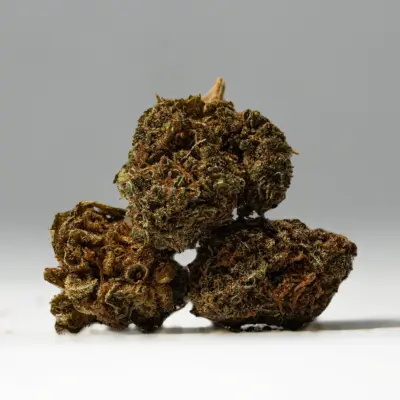 (Smalls) Black Jack (A)