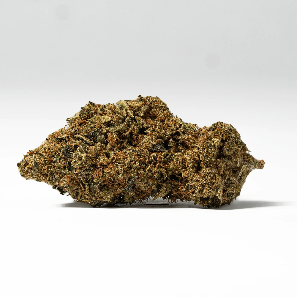 Bubblegum (AA) Bubblegum (AA)