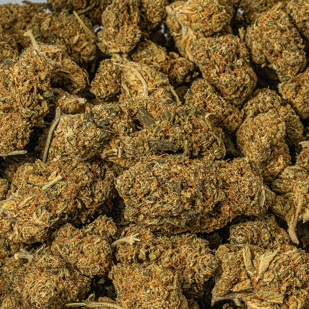 Bubblegum (AA) Bubblegum (AA)