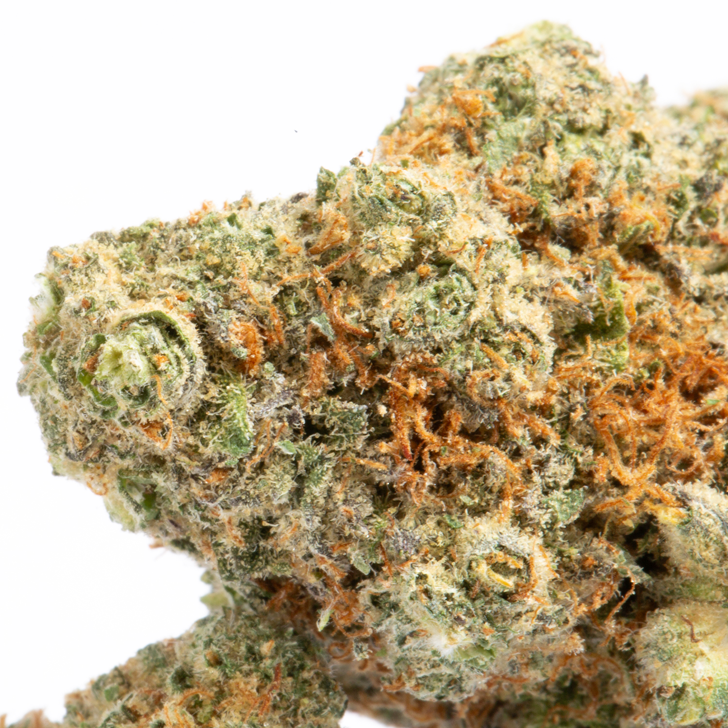 Cake Pop (AAA) Cake Pop (AAA)