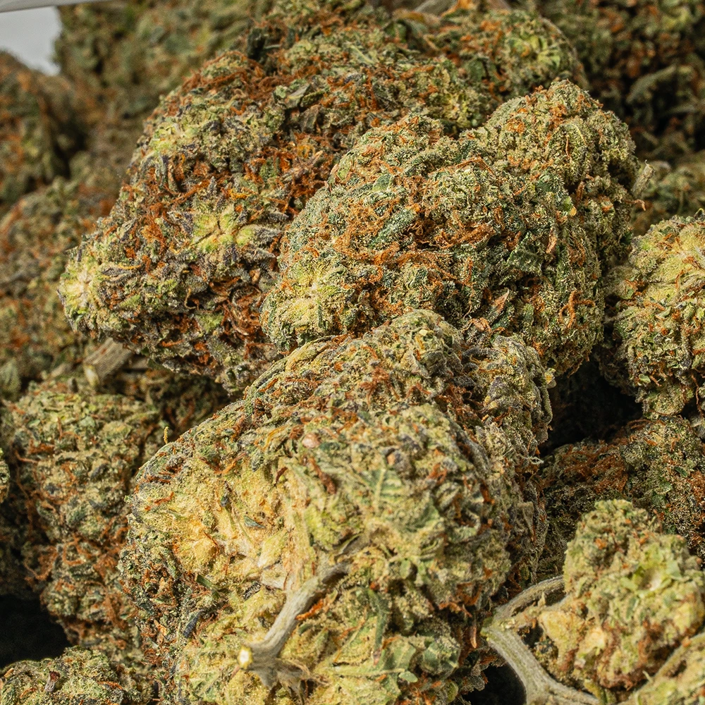 Durban Poison (AA+) Durban Poison (AA+)