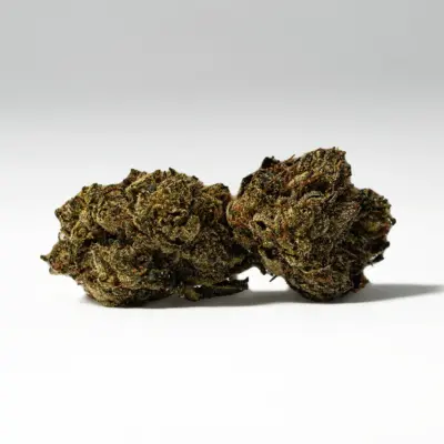 (Smalls) El Chapo (AAAA) (Smalls) El Chapo (AAAA)