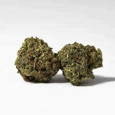 (Smalls) Gelato (AAA+) (Smalls) Gelato (AAA+)