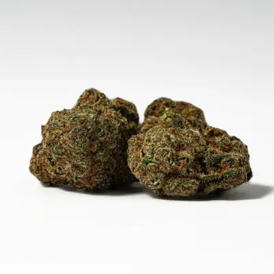 (Smalls) Nuken (AA) (Smalls) Nuken (AA)