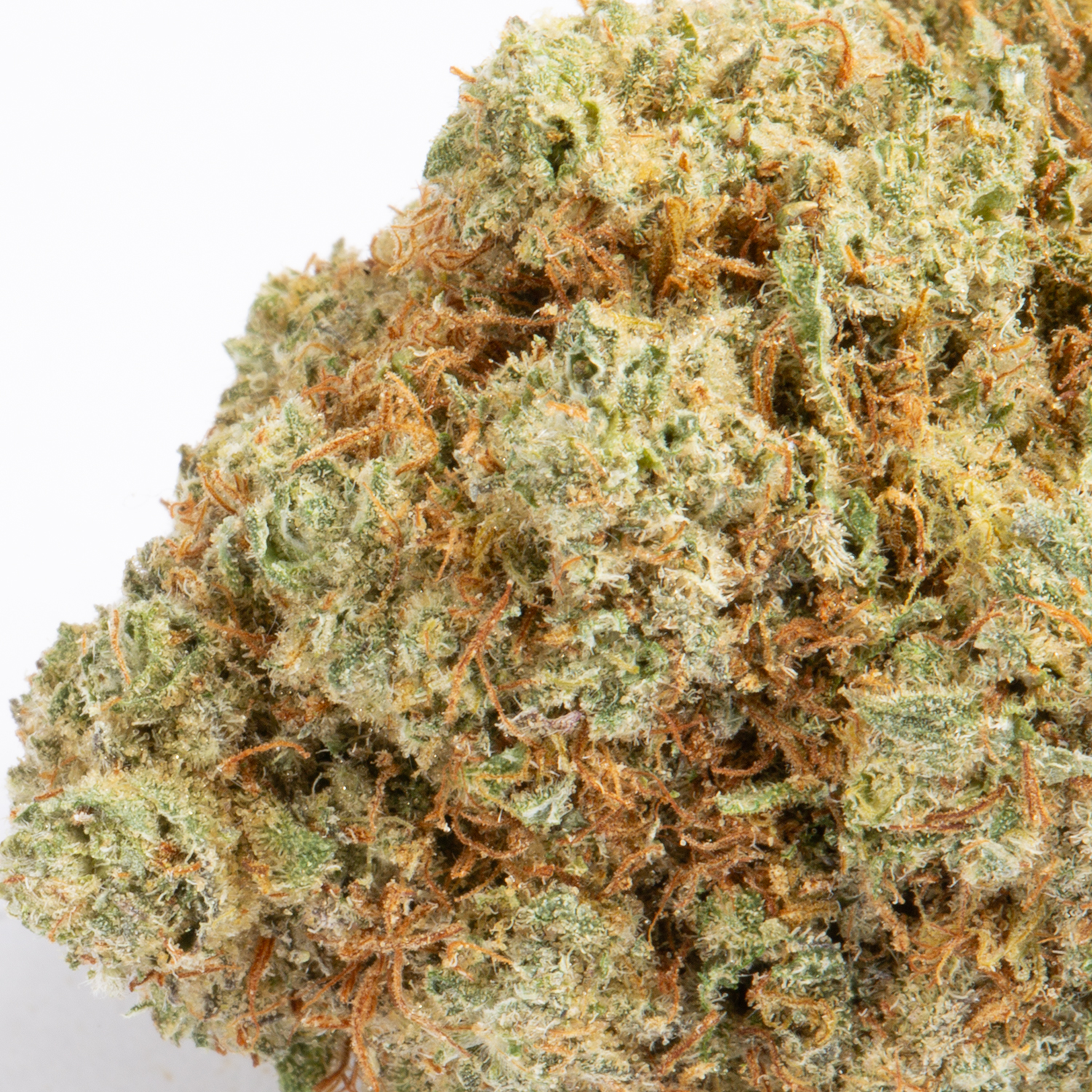 Pink Velvet (AAA) Pink Velvet (AAA)