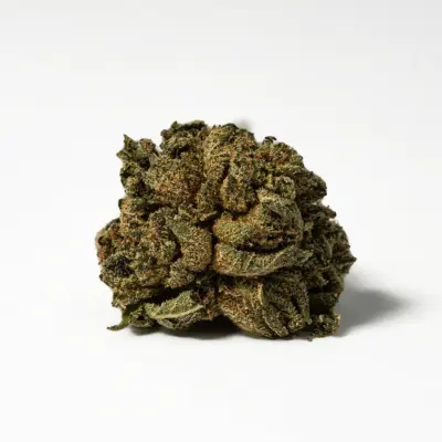 (Smalls) Red Octane (AA)