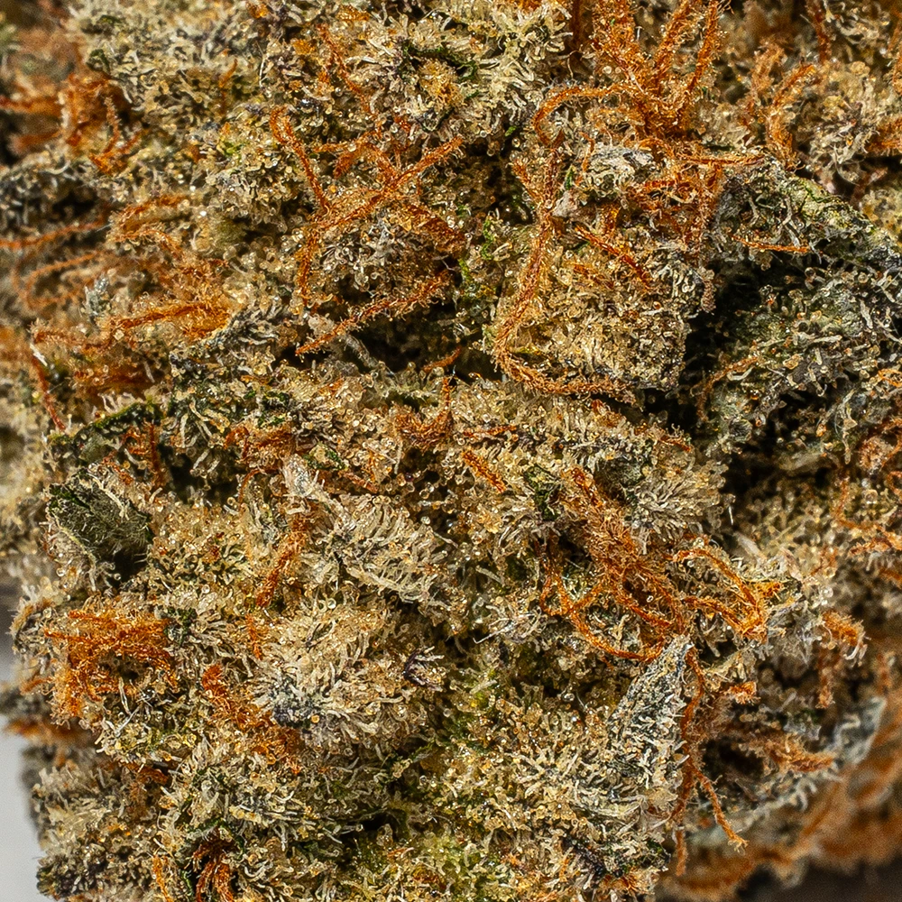 Sunburst (AA+) Sunburst (AA+)