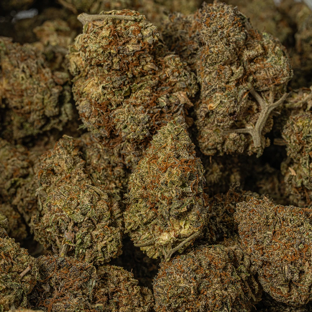 Sunburst (AA+) Sunburst (AA+)