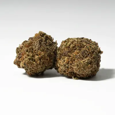 Sweet Tooth (AA) Sweet Tooth (AA)