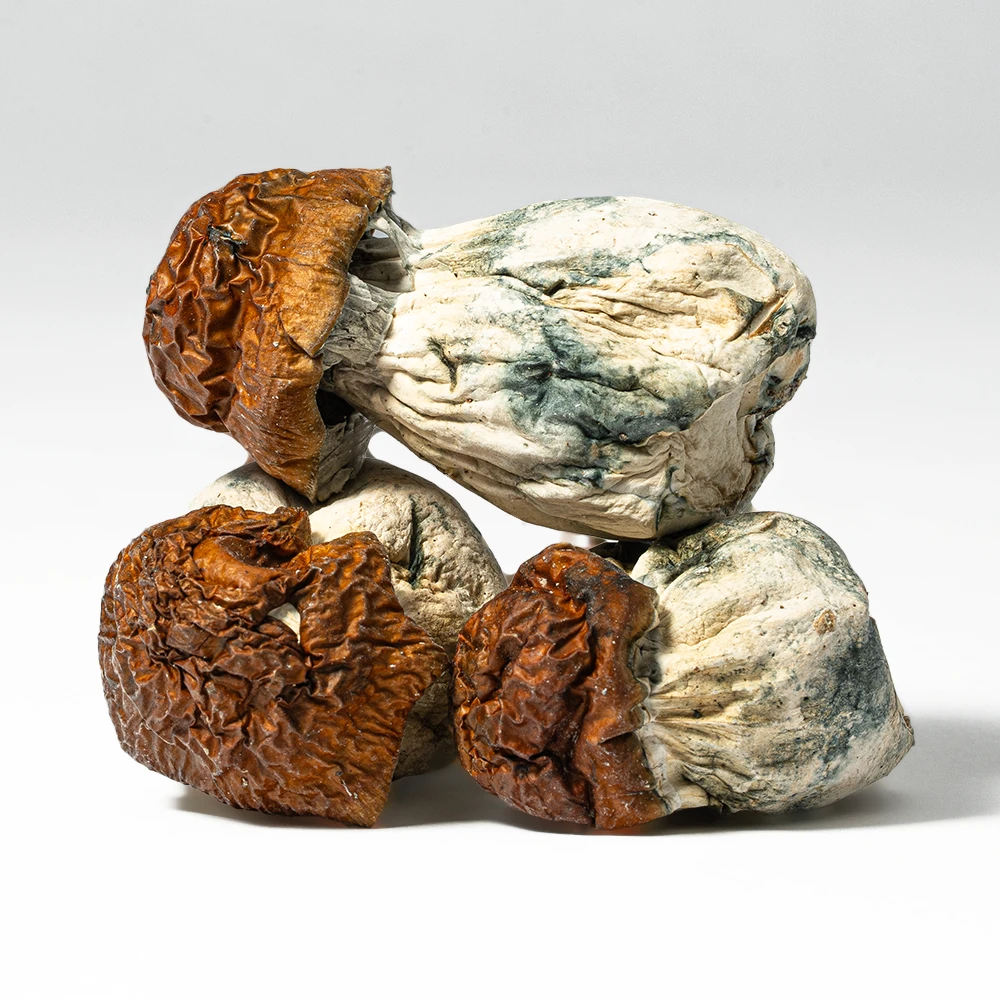 Blue Meanies Mushrooms Blue Meanies Mushrooms