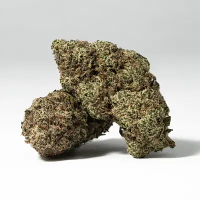 Raspberry Punch (AAA+) Raspberry Punch (AAA+)