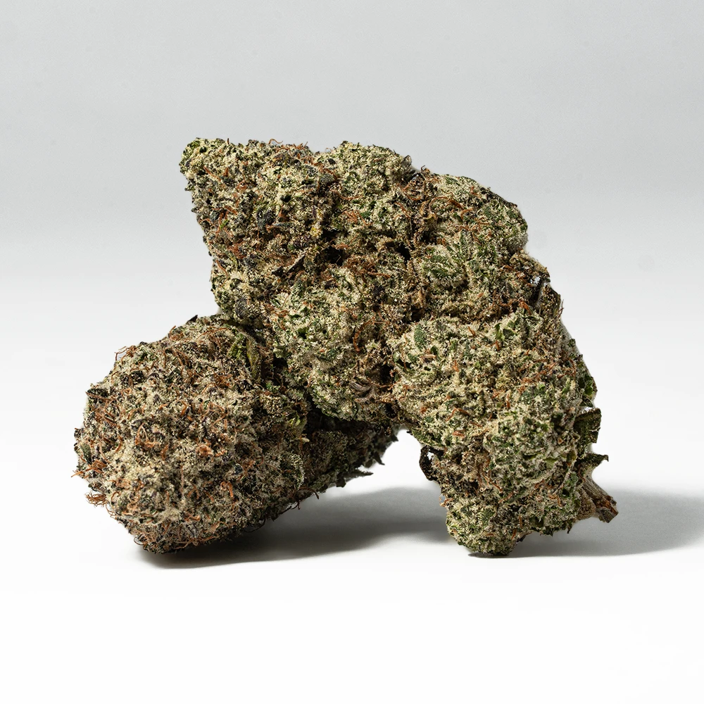 Raspberry Punch (AAA+) Raspberry Punch (AAA+)