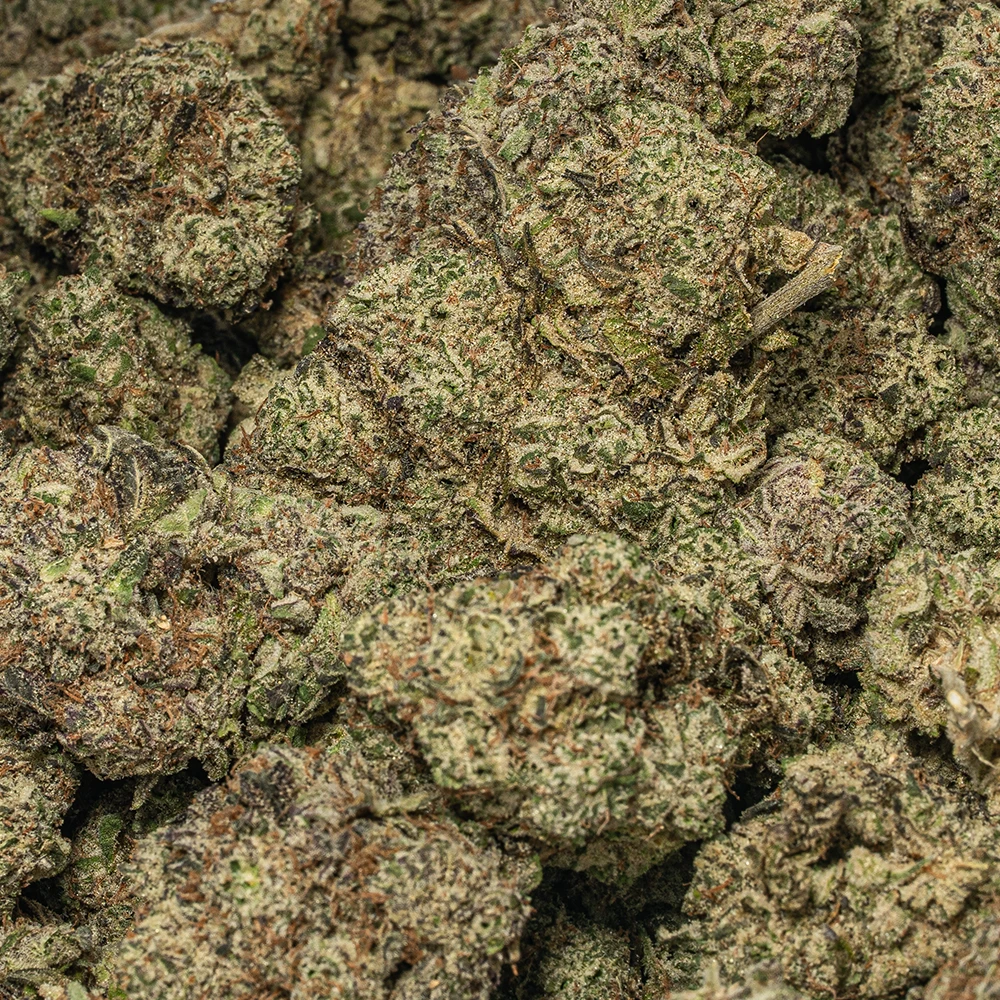 Raspberry Punch (AAA+) Raspberry Punch (AAA+)