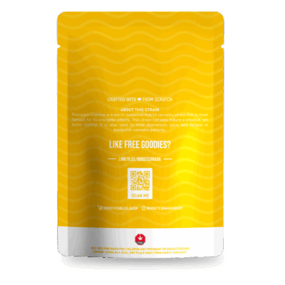 Boost 1g Shatter - Pineapple Express