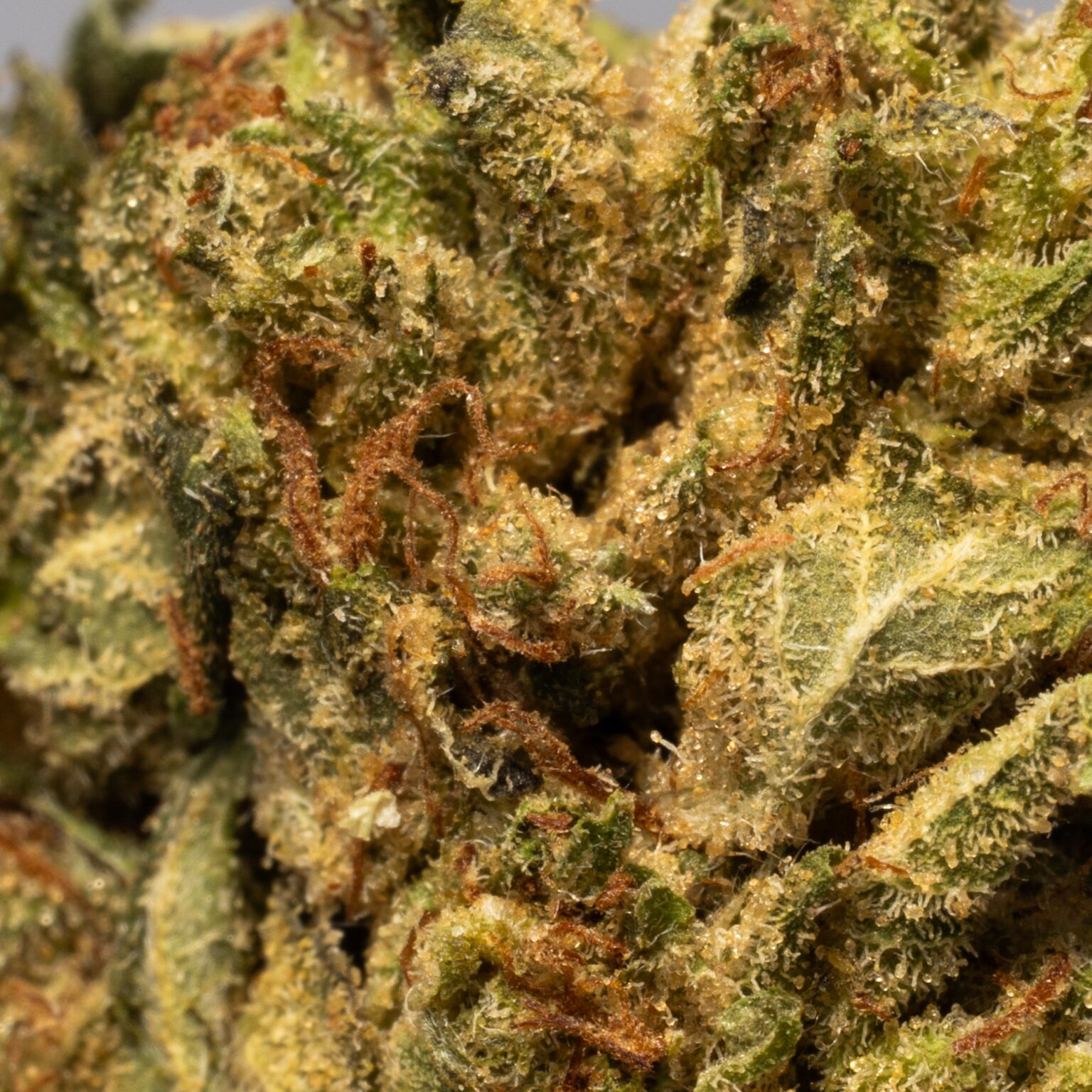 Death Star Smalls (AAAA)
