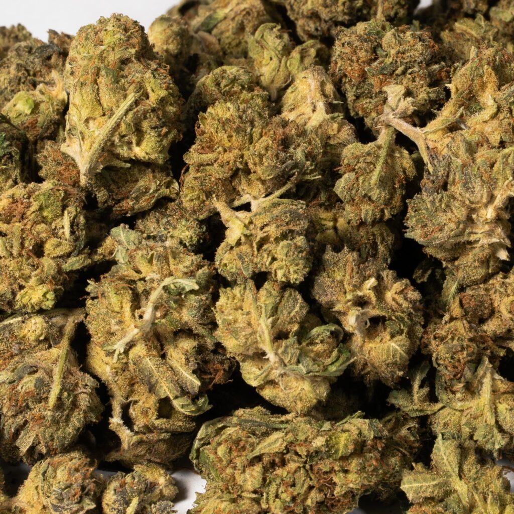 GCO