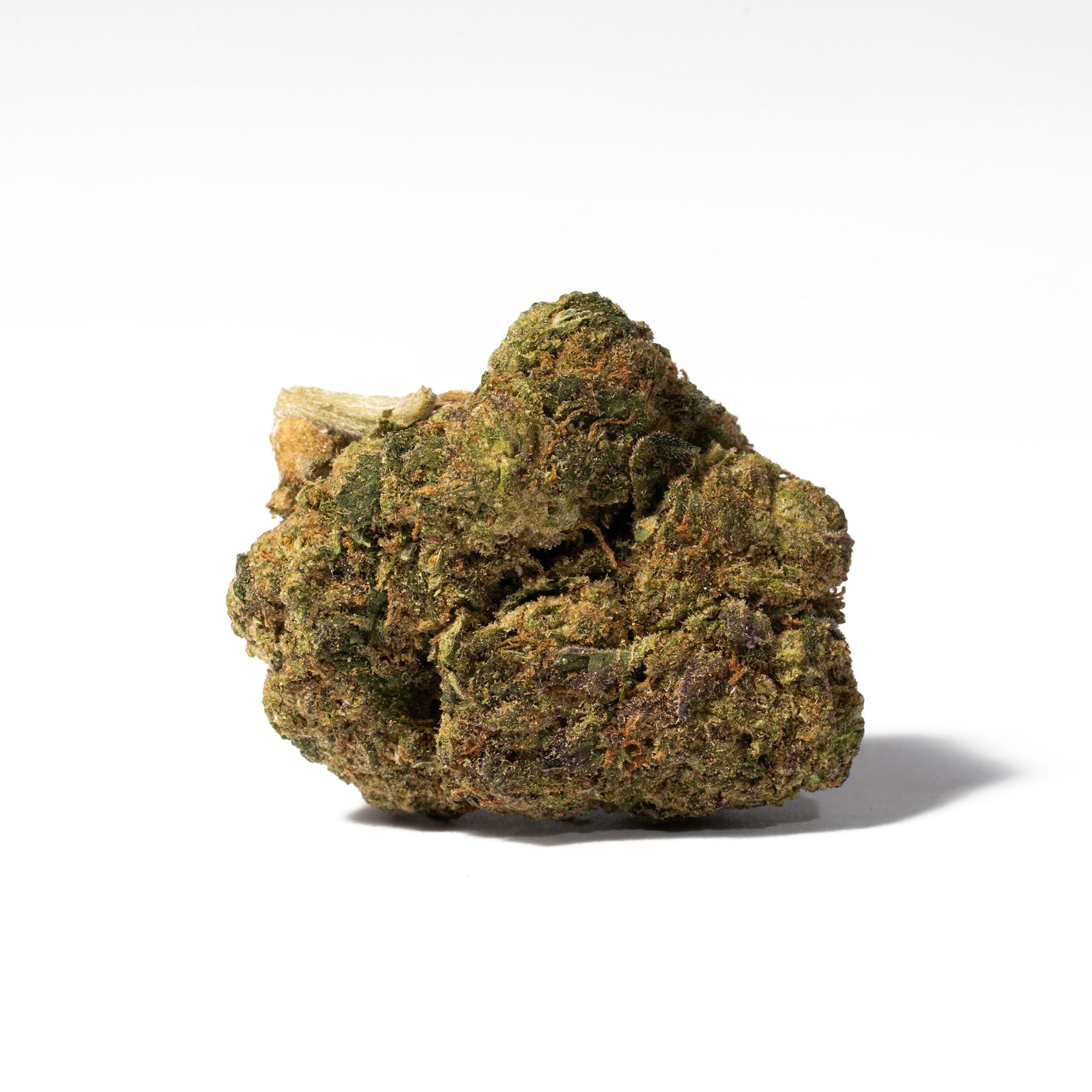 Purple Rain (AA) Purple Rain (AA)