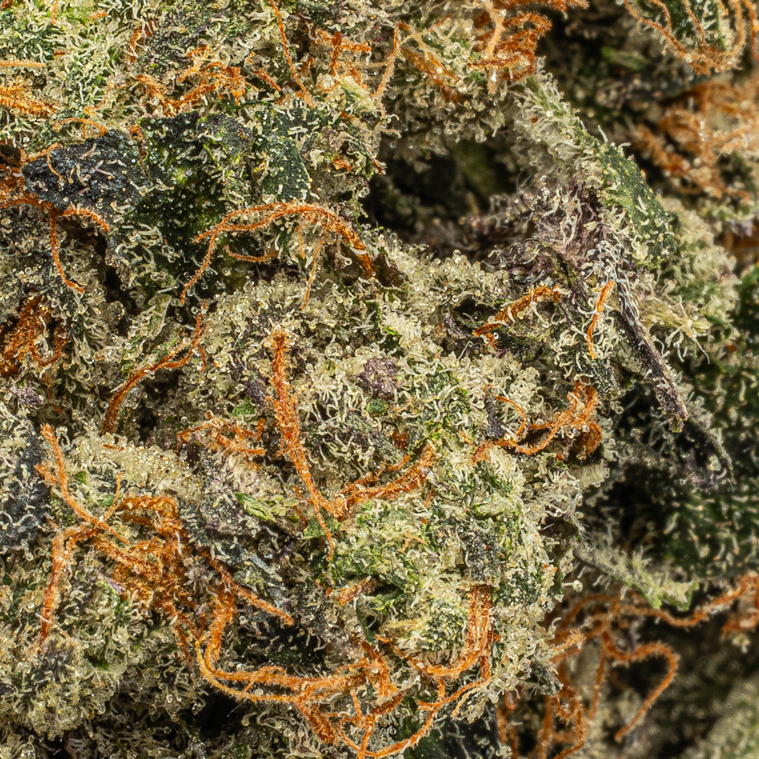 Pink Death Star (AAAA) Pink Death Star (AAAA)