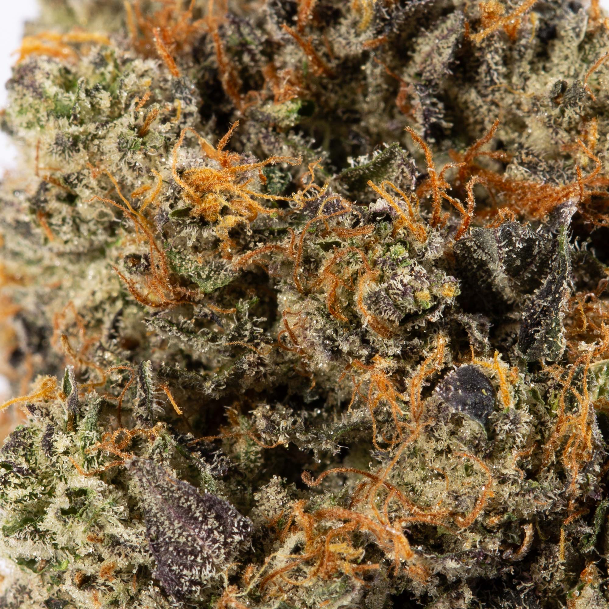 MK Ultra (AAAA) MK Ultra (AAAA)