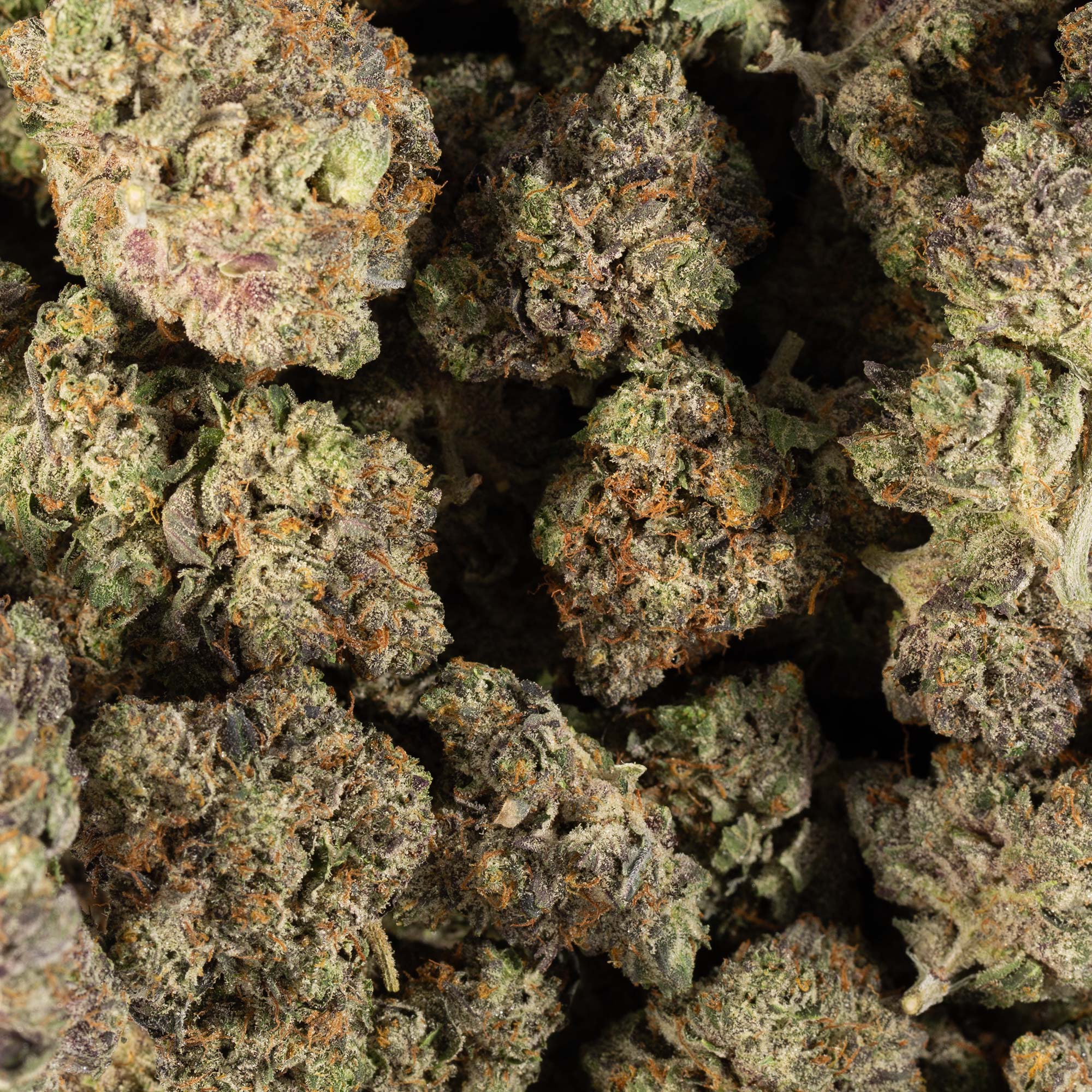 MK Ultra (AAAA) MK Ultra (AAAA)