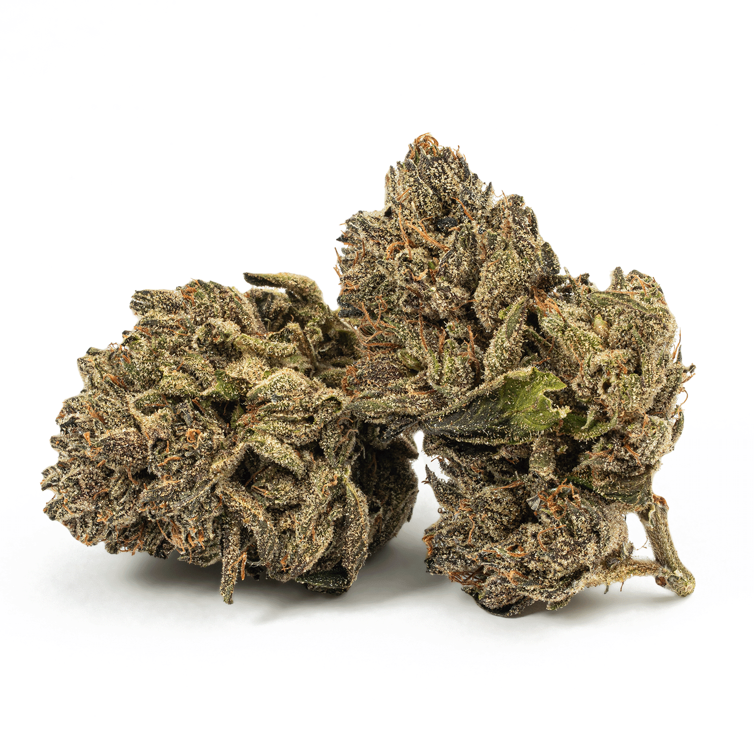 Purple Picasso (AA+) Purple Picasso (AA+)