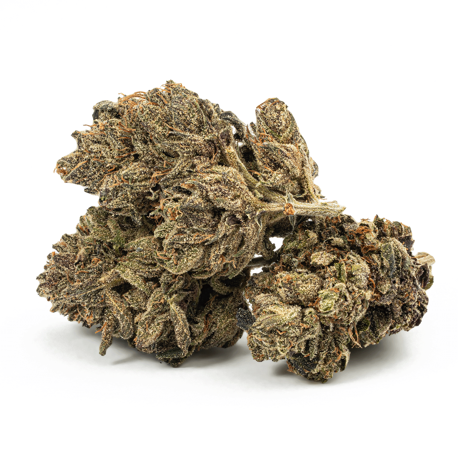 Purple Picasso (AA+) Purple Picasso (AA+)