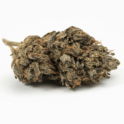 Purple Picasso (AA+)