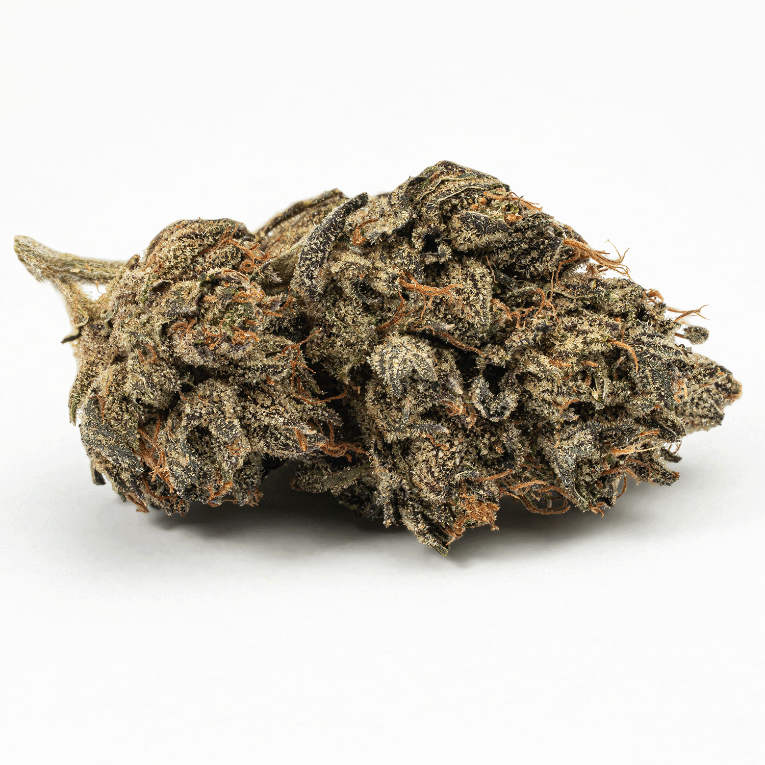 Purple Picasso (AA+) Purple Picasso (AA+)