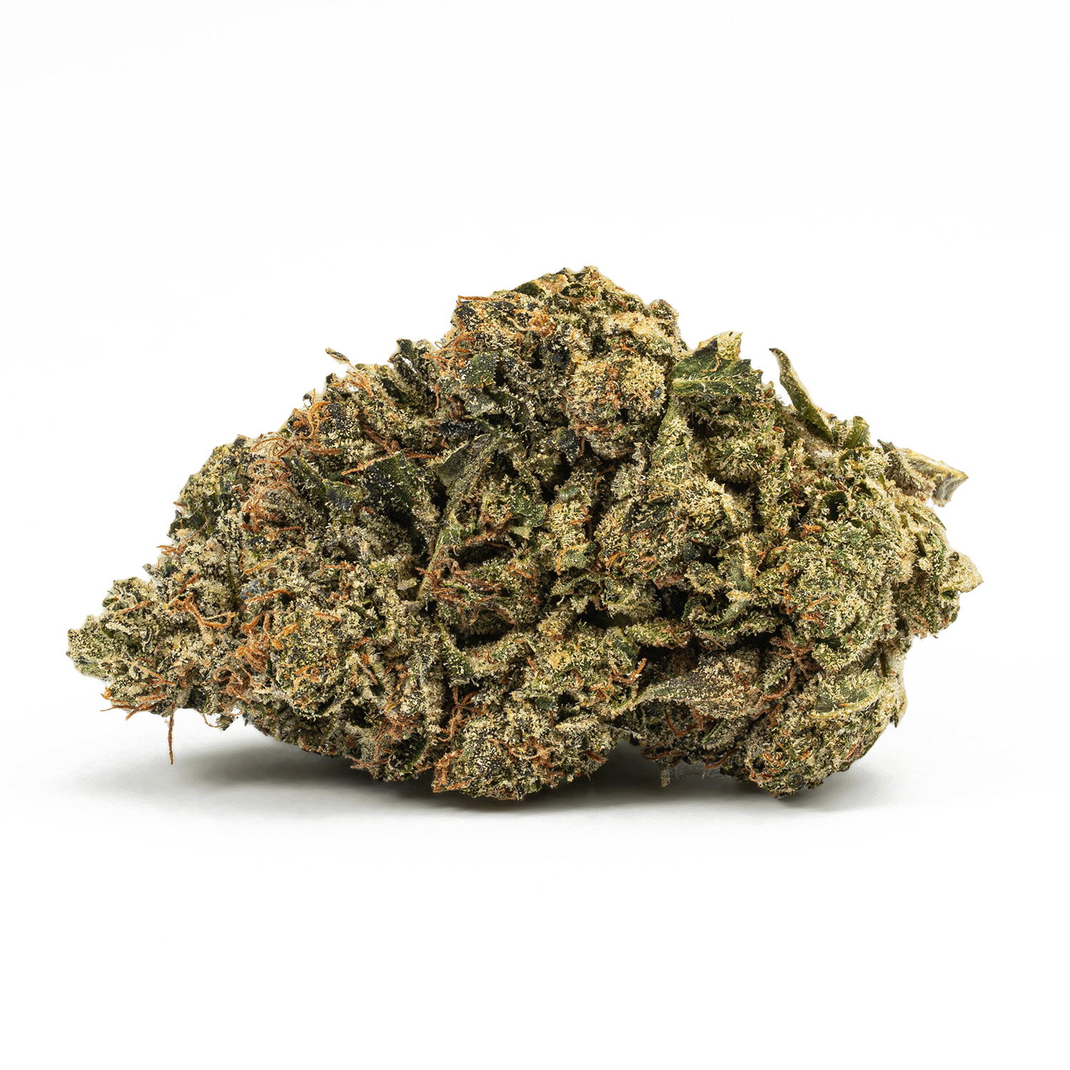 Starfighter (AA+) Starfighter (AA+)