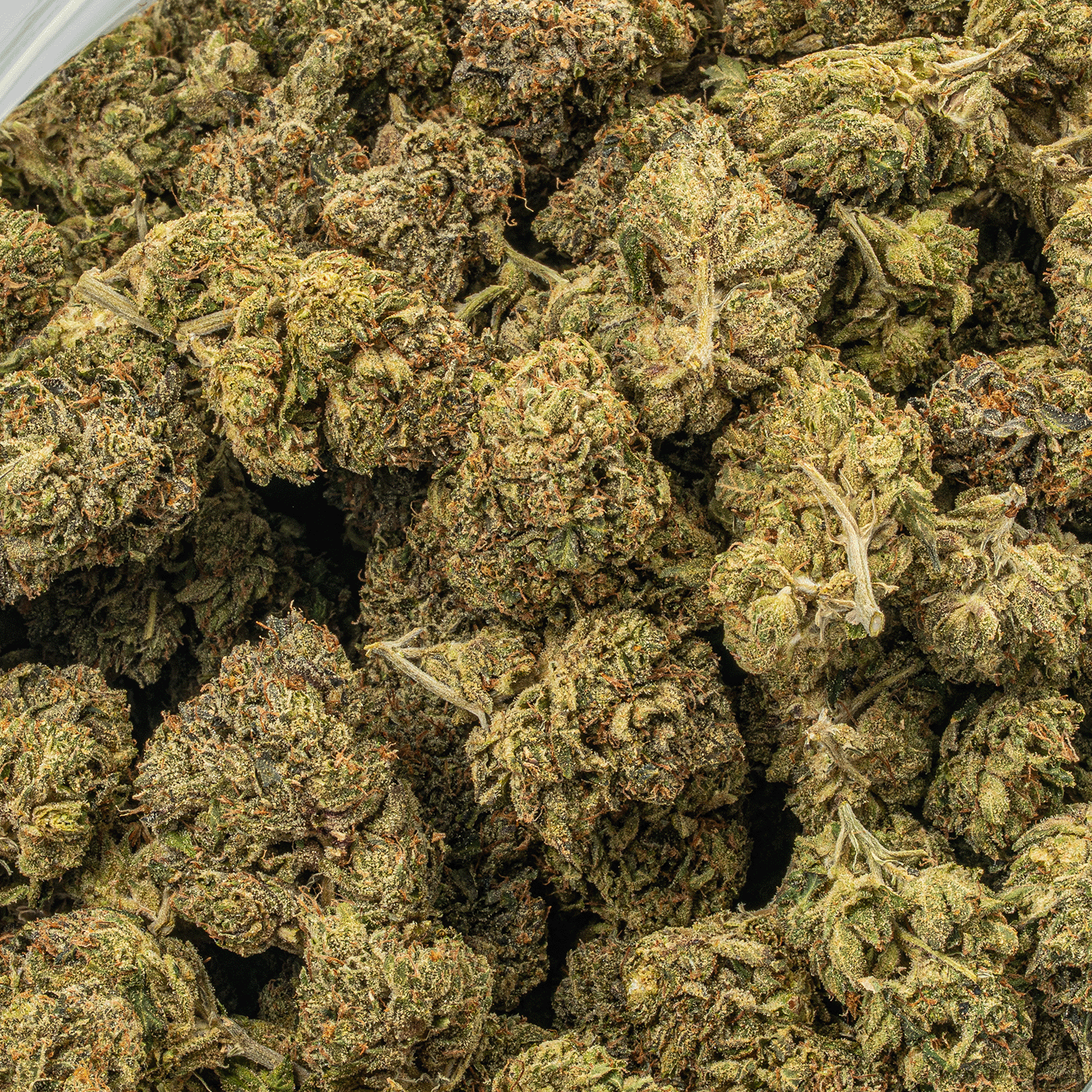 Starfighter (AA+) Starfighter (AA+)