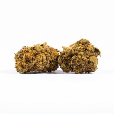 Red Velvet Smalls (AA)