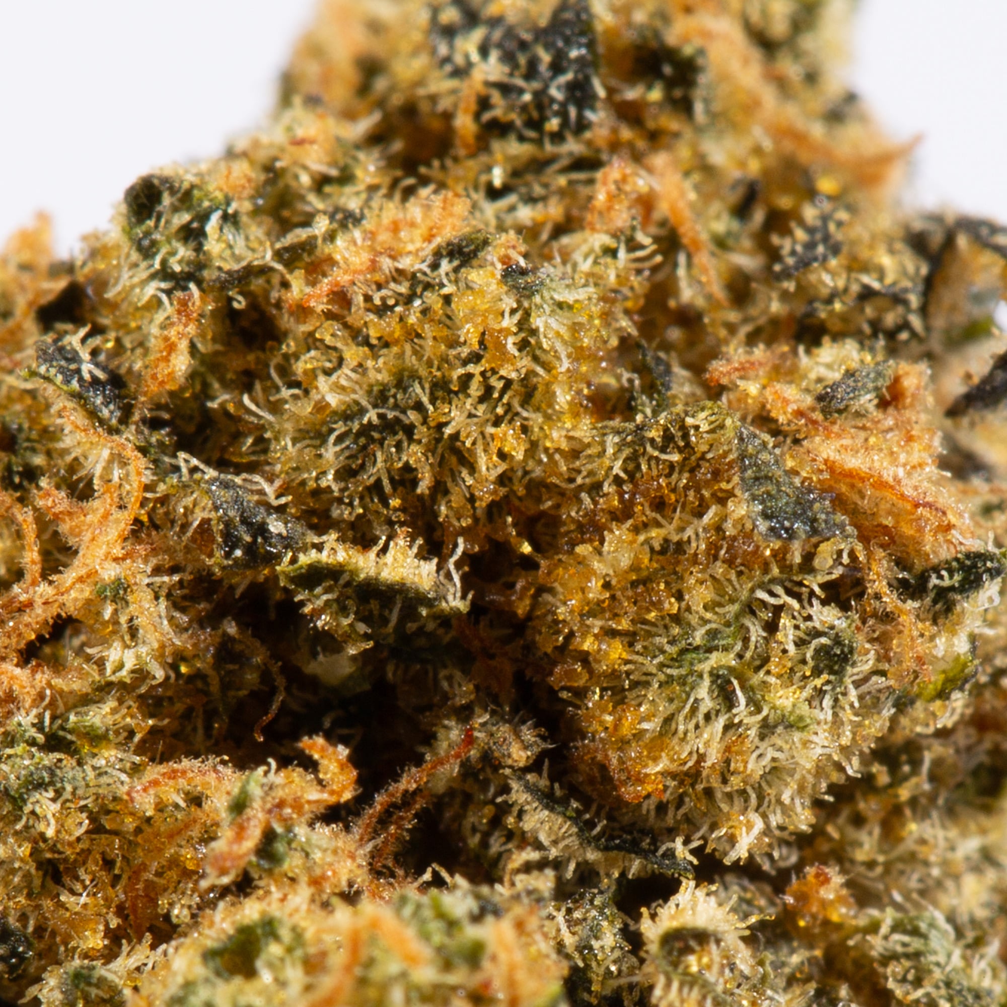 Red Velvet Smalls (AA) Red Velvet Smalls (AA)