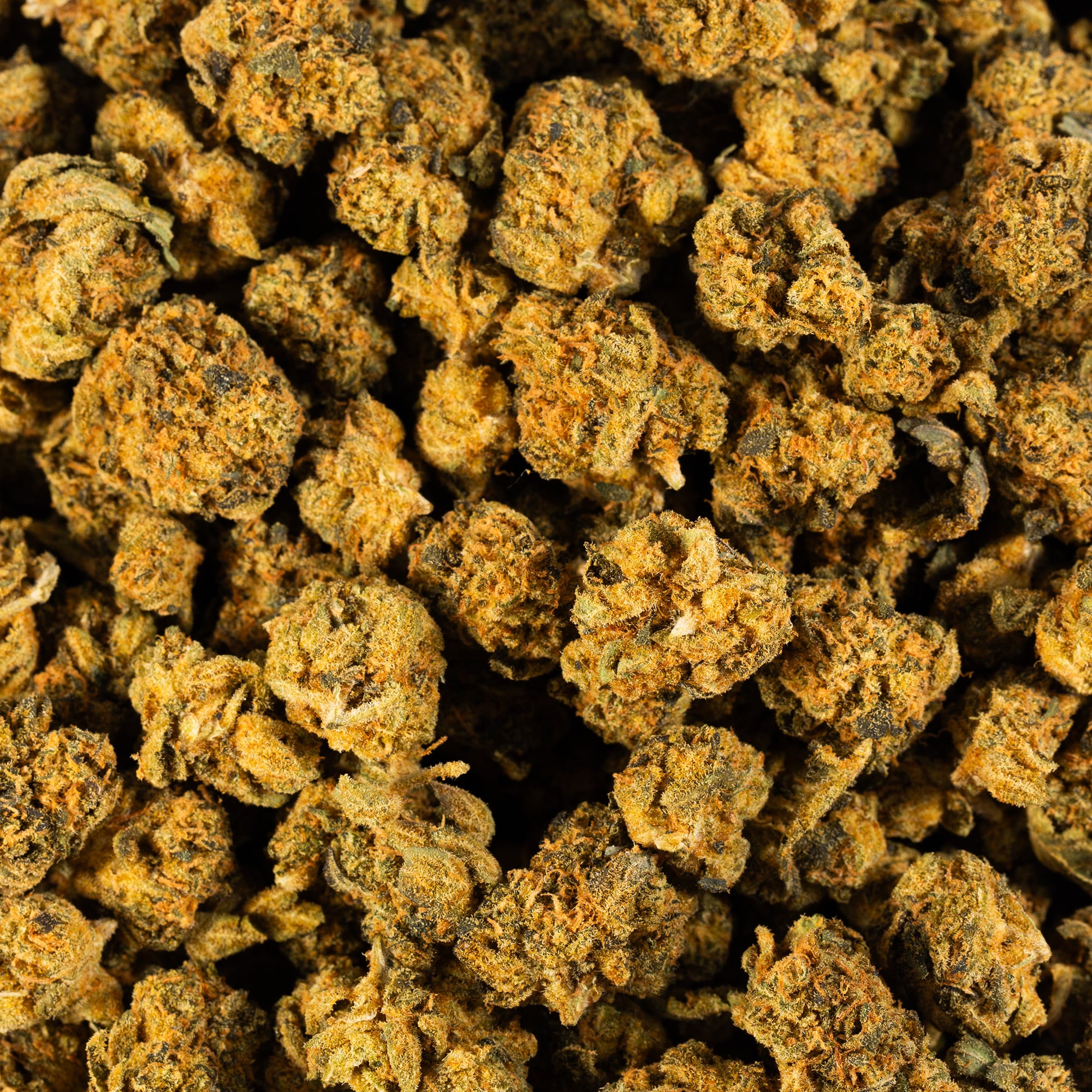 Red Velvet Smalls (AA) Red Velvet Smalls (AA)