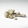 Albino Extraterrestrial Mushrooms